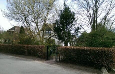 Aanleg tuin in Drempt