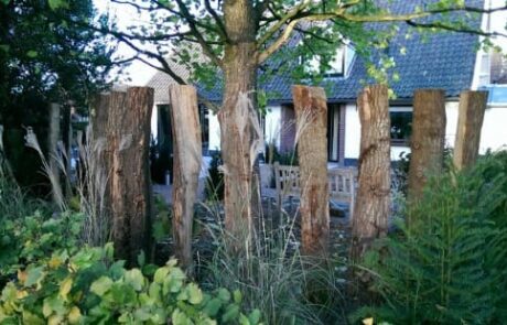 Aanleg tuin in Drempt