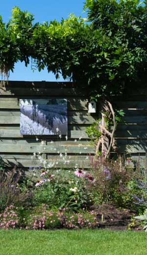 Extreme Sports Mountain Climbing